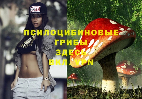 ECSTASY Касимов